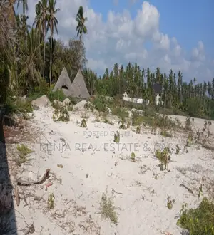 Beach Plot for Sale Jambiani Zanzibar
