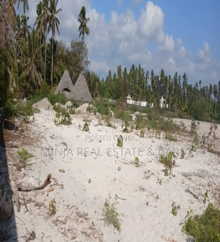 Beach Plot for Sale Jambiani Zanzibar