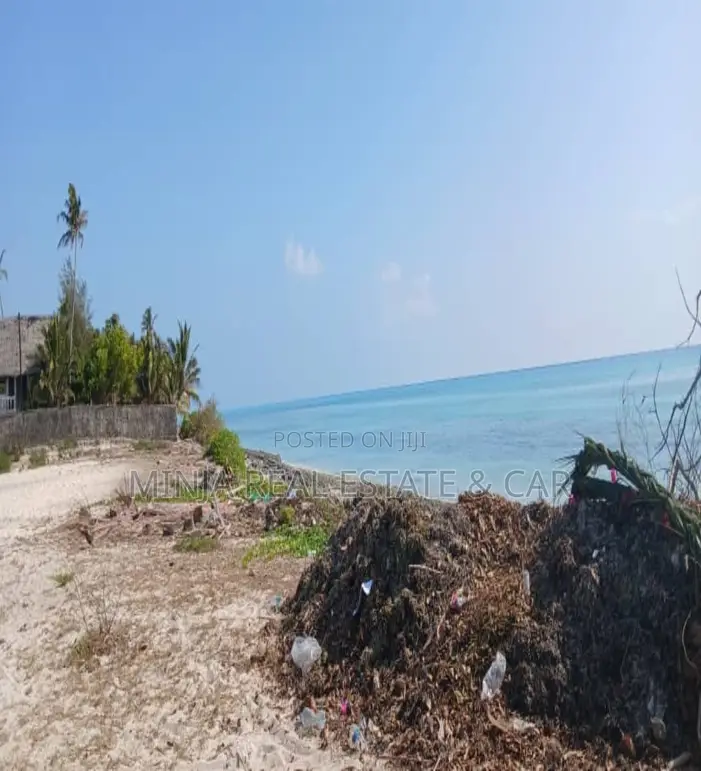 Beach Plot for Sale Jambiani Zanzibar