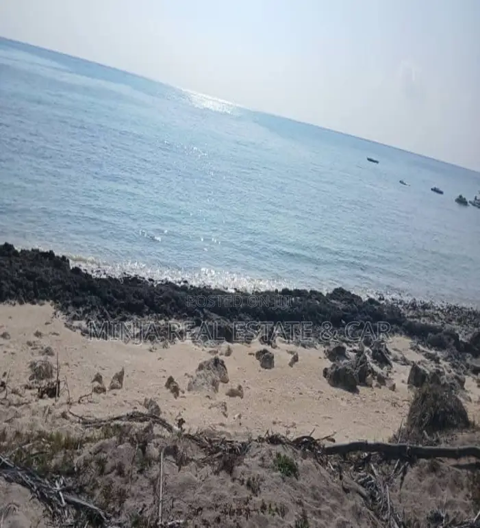 Beach Plot for Sale Jambiani Zanzibar