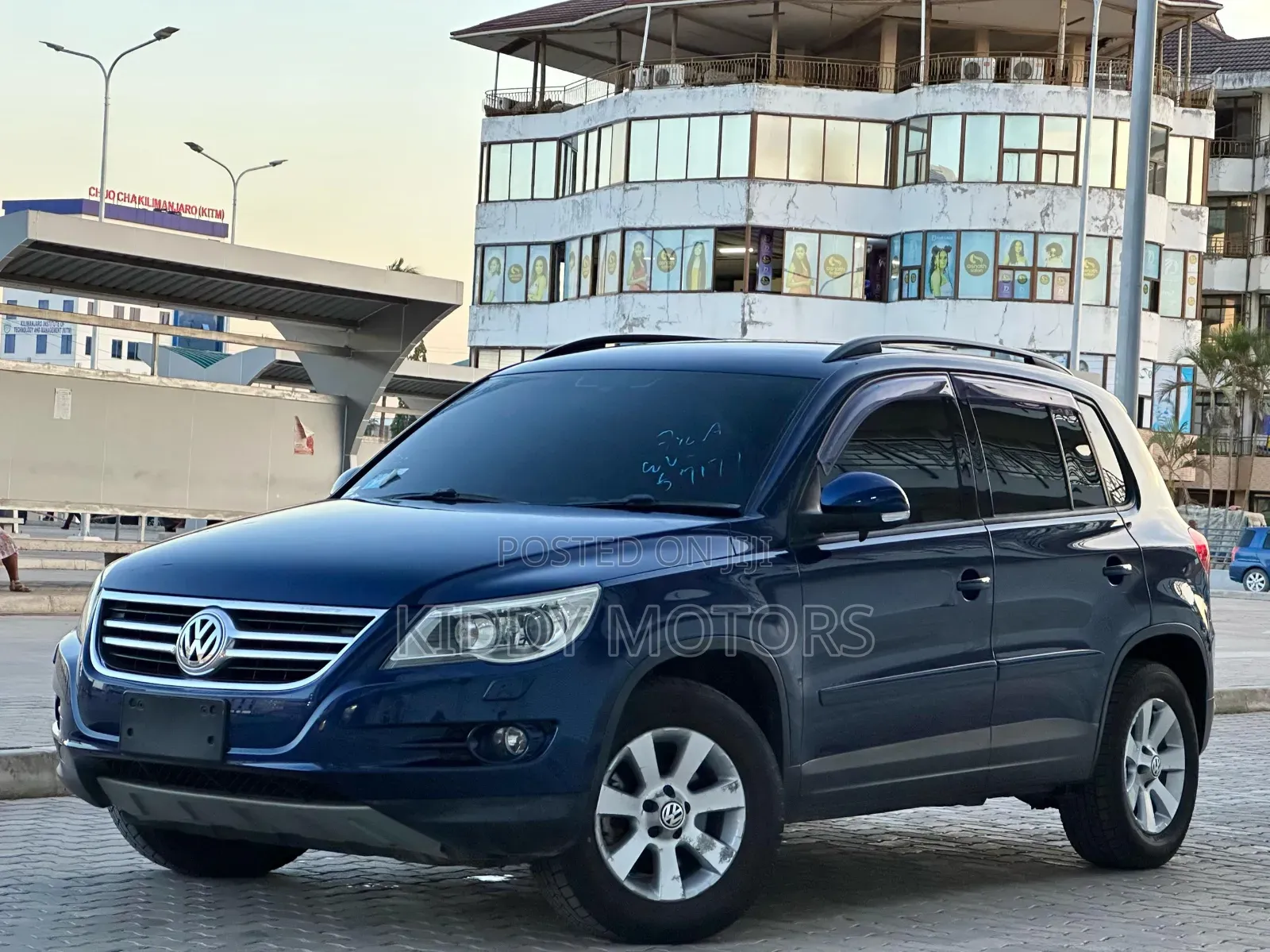 Volkswagen Tiguan 2010 Blue
