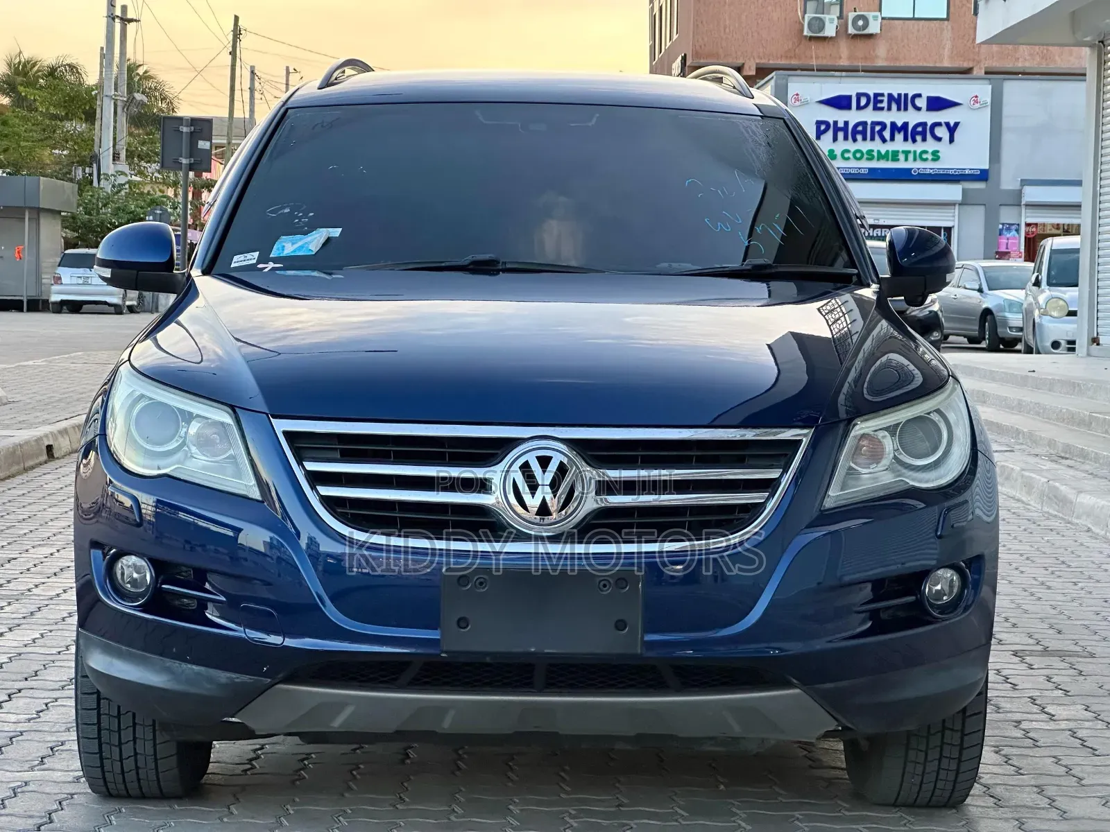 Volkswagen Tiguan 2010 Blue