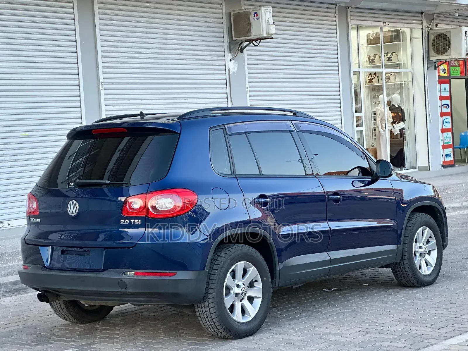 Volkswagen Tiguan 2010 Blue