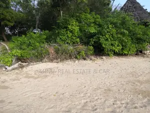 Beach Plot for Sale Fukuchani Zanzibar