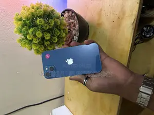 Apple iPhone 13 256 GB Blue
