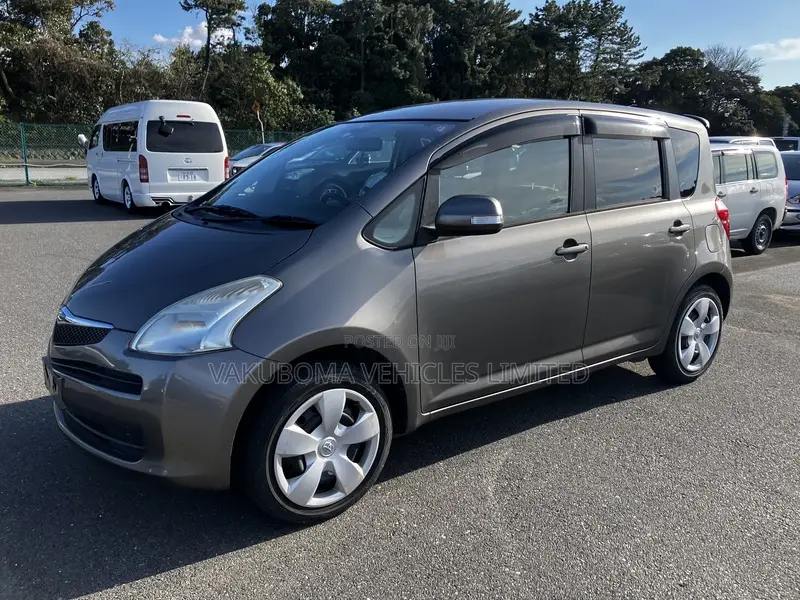 Toyota Ractis 2007 Gray