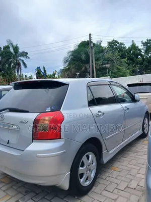 Toyota Allex 2001 Silver