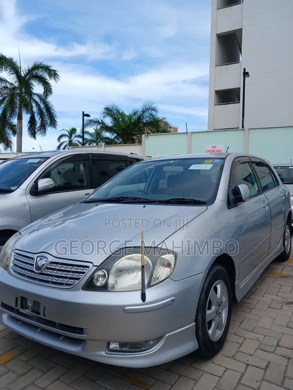 Toyota Allex 2001 Silver