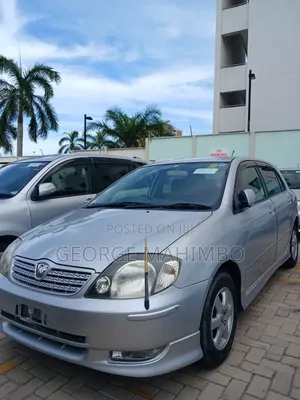 Toyota Allex 2001 Silver