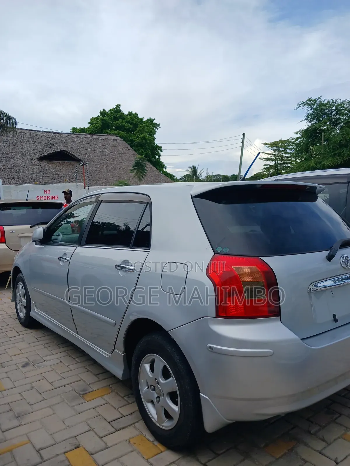 Toyota Allex 2001 Silver