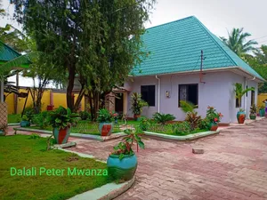 3bdrm House in Dalali Peter, Ilemela for rent