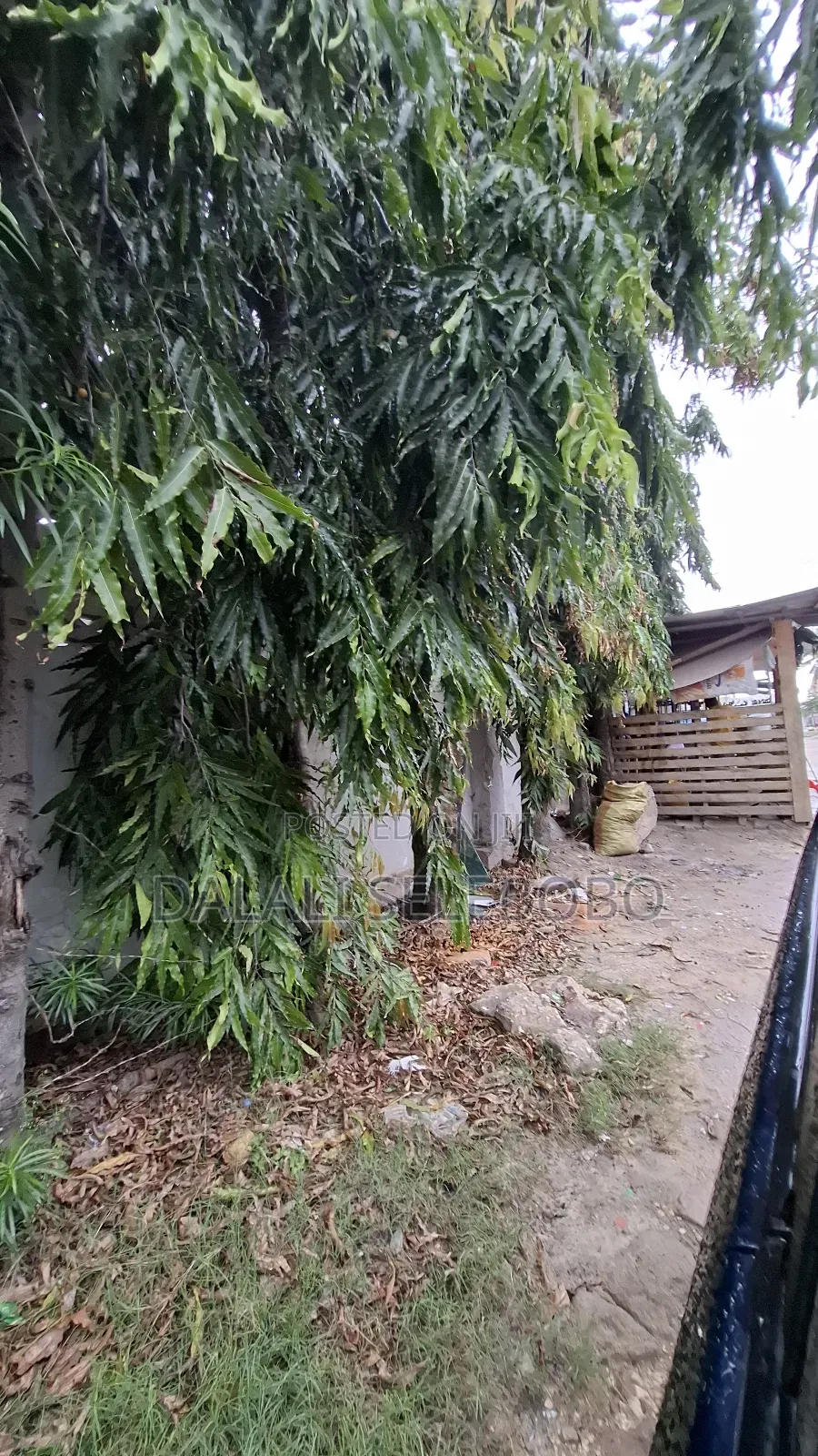 9bdrm Bungalow in Sinza Palestina.. for sale