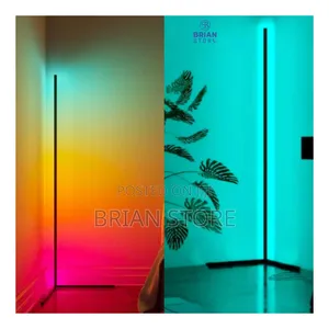 Led Floor Lamp