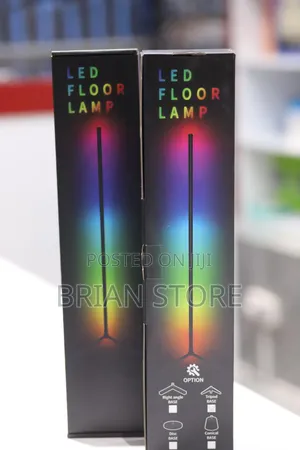 Led Floor Lamp