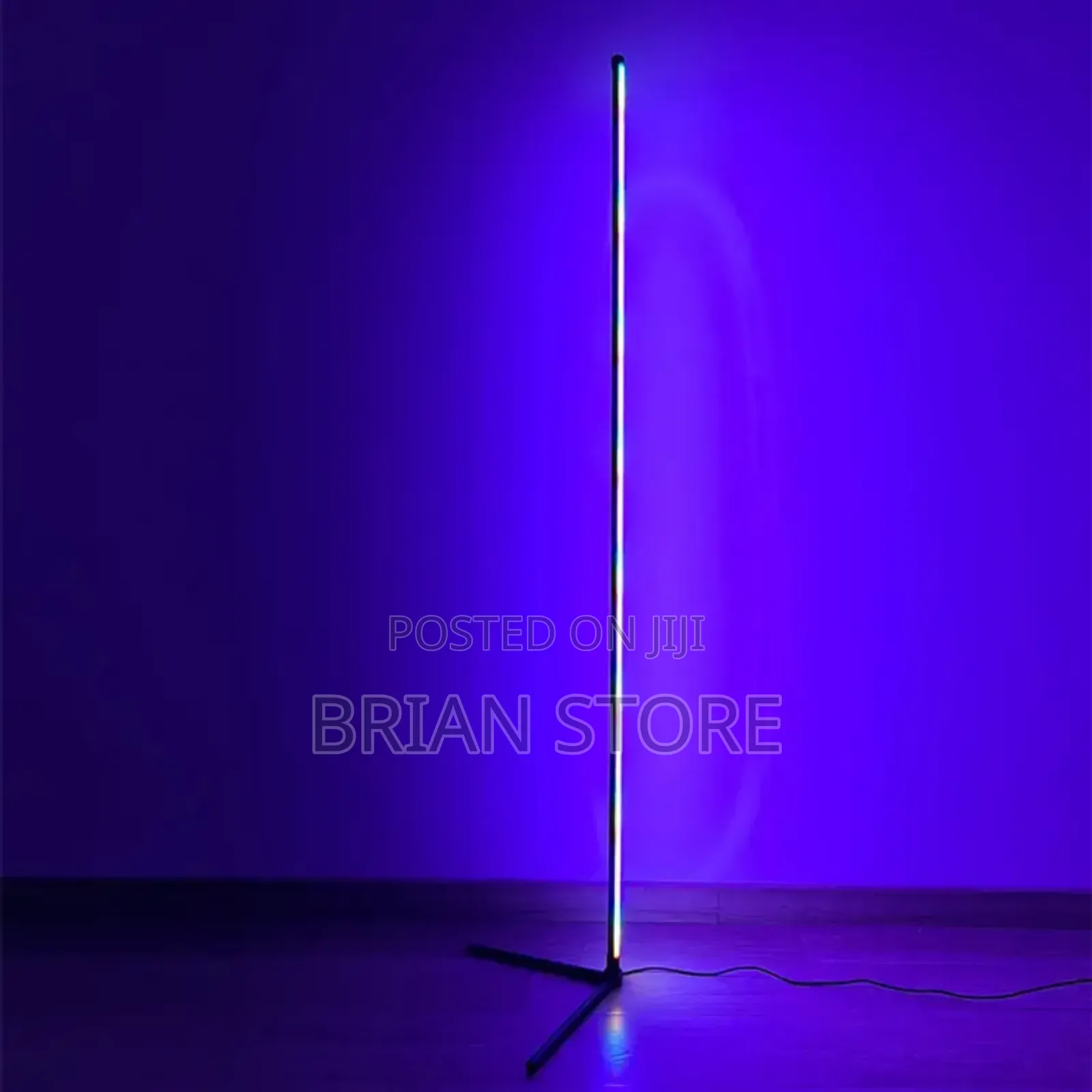 Led Floor Lamp