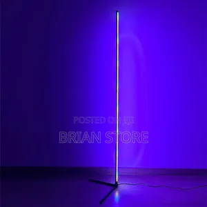 Led Floor Lamp