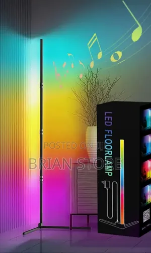 Led Floor Lamp