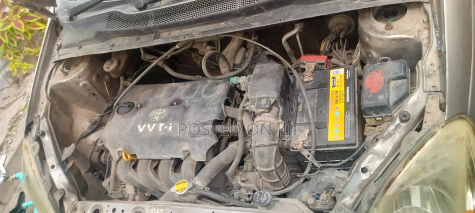 Toyota Vitz 2005 Gold
