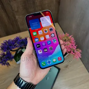 Apple iPhone 13 Pro Max 128 GB Green