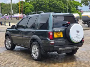Land Rover Freelander 2003 Gray