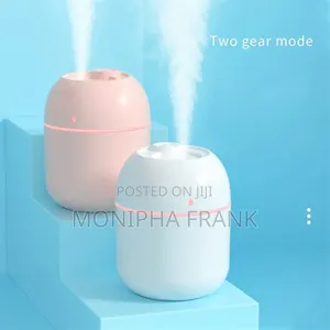 Room Spray Humidifier, It's Potable