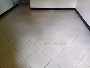 2bdrm House in Nyegezi, Nyamagana for rent