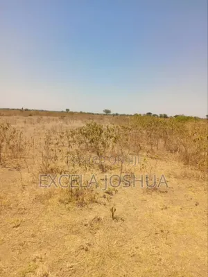 Shamba Ekari 4 Linauzwa Kisongo Arusha