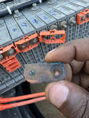 Hybrid Battery Module