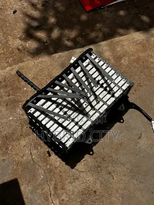 Hybrid Battery Module