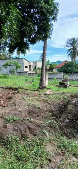 Kiwanja Kikubwa Na Nyumba