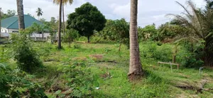 Kiwanja Kikubwa Na Nyumba