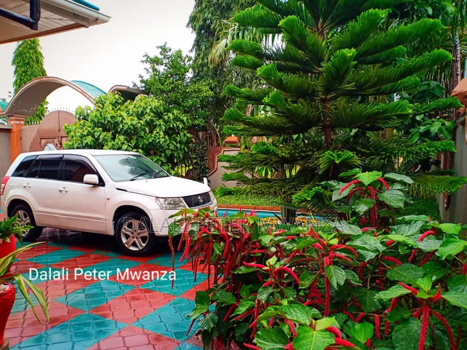 3bdrm House in Buswelu, Ilemela for rent