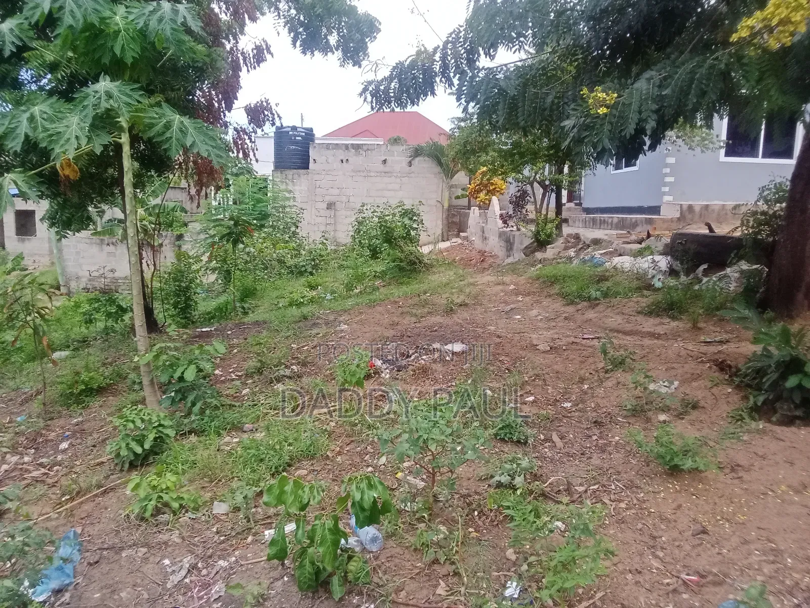 Goba Kinzudi (Maghorofani)