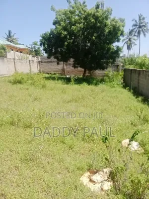 A Small Nice Plot at Goba Tatedo