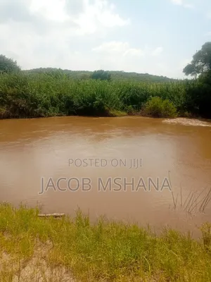 Shamba Linauzwa Ekari 17,000