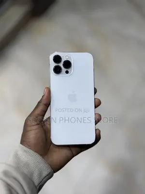 Apple iPhone 13 Pro Max 256 GB Silver