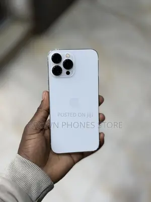 Apple iPhone 13 Pro Max 256 GB Silver