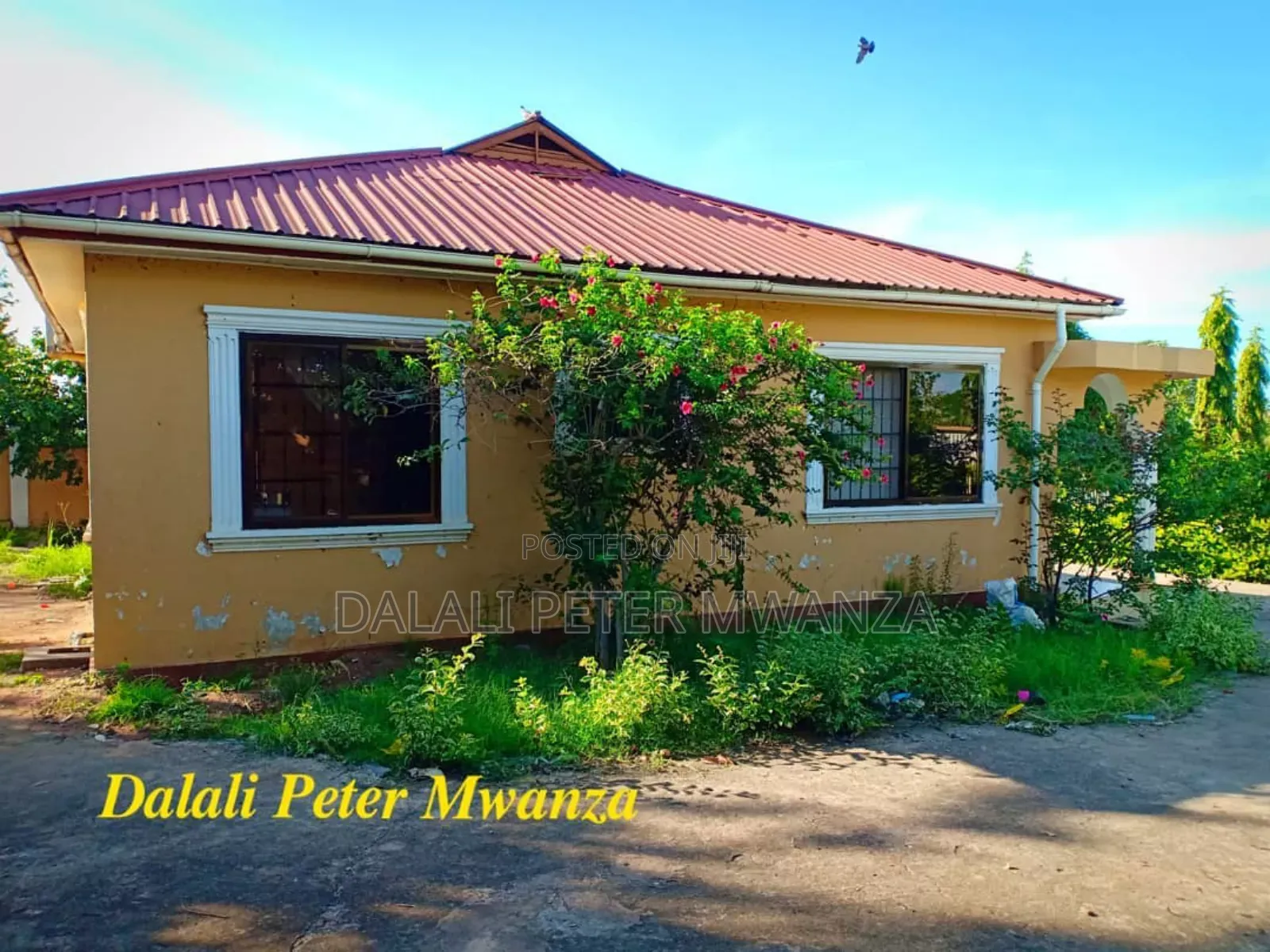 3bdrm House in Kiseke, Ilemela for rent
