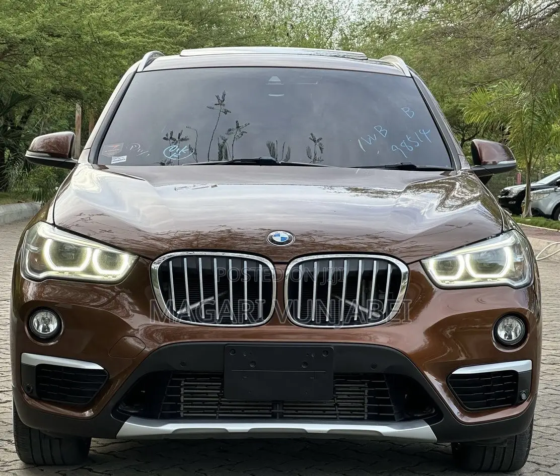 BMW X1 2017 Brown