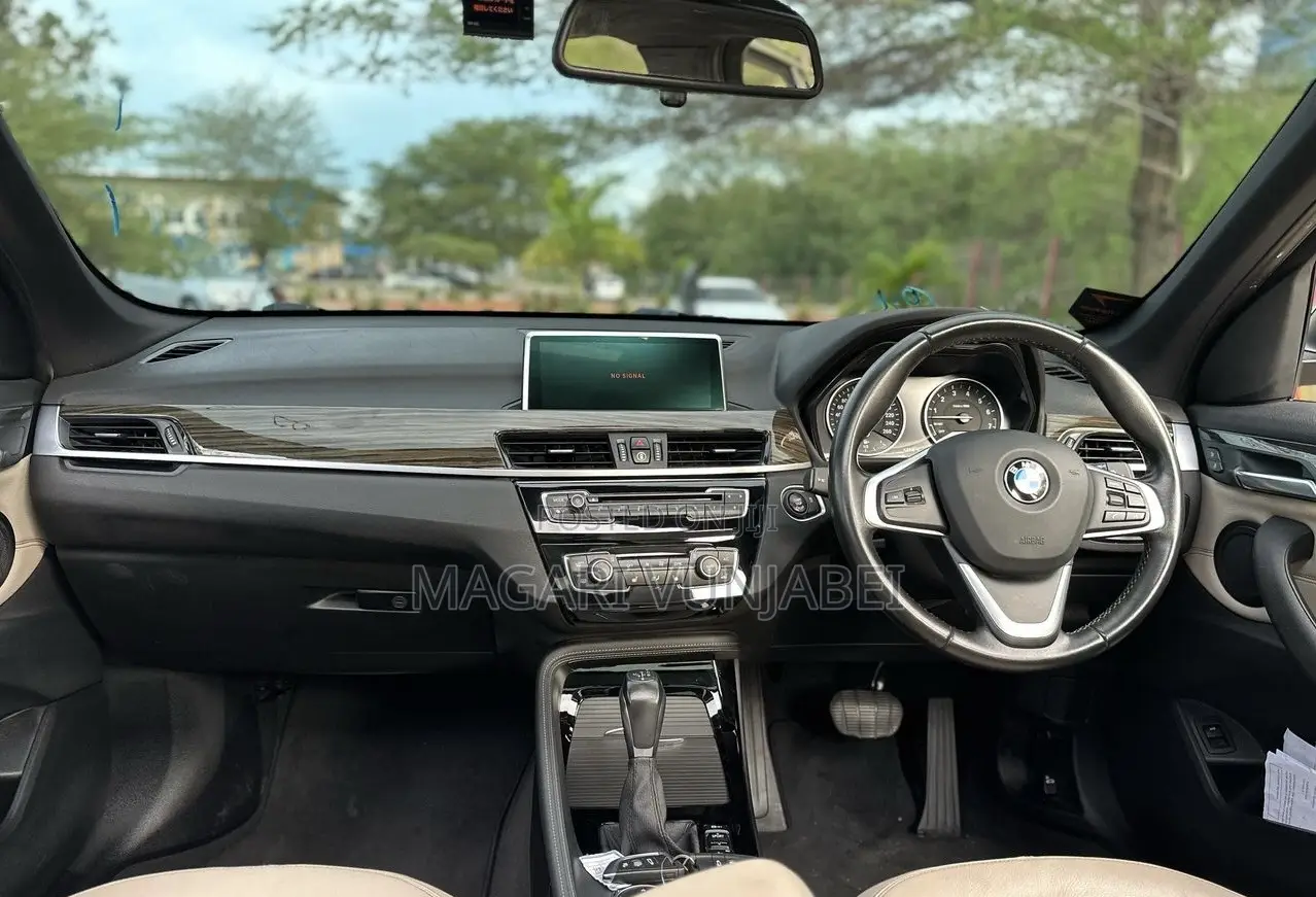 BMW X1 2017 Brown