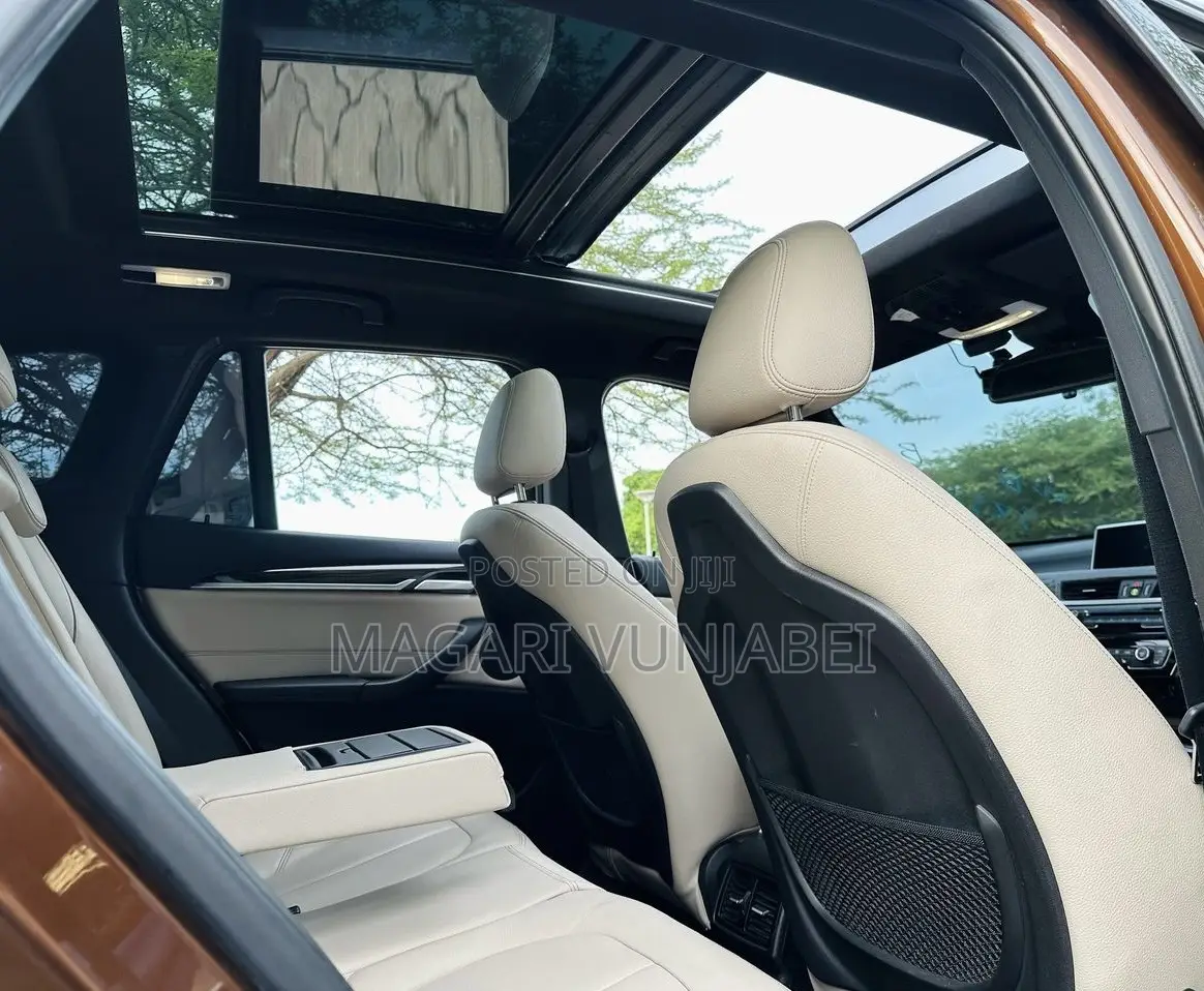 BMW X1 2017 Brown