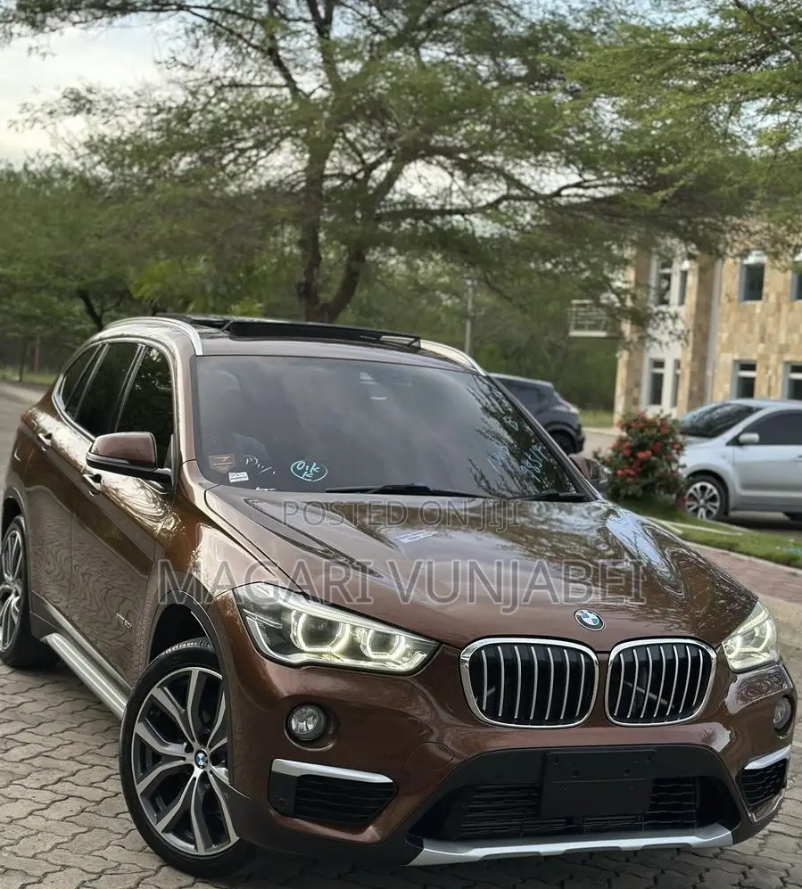 BMW X1 2017 Brown