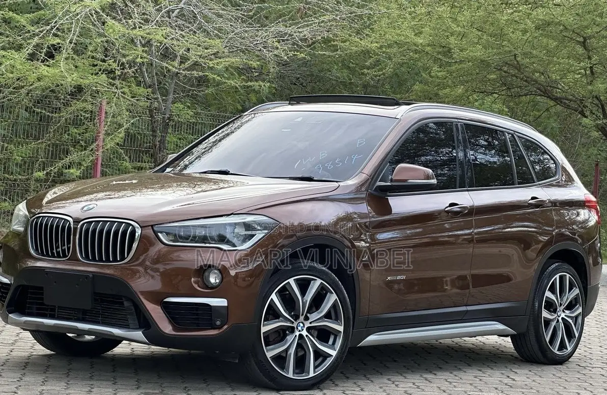 BMW X1 2017 Brown
