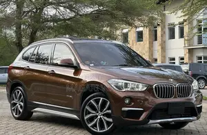 BMW X1 2017 Brown