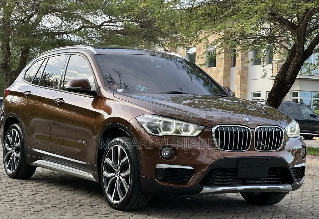 BMW X1 2017 Brown