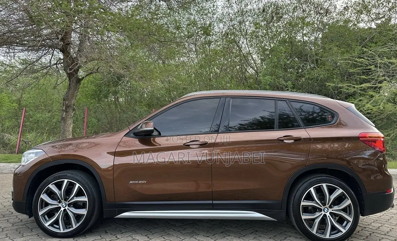 BMW X1 2017 Brown