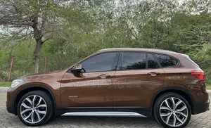 BMW X1 2017 Brown
