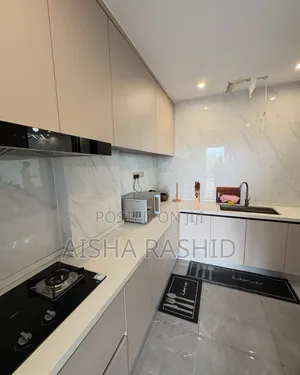 Furnished 3bdrm Apartment in Masaki for rent