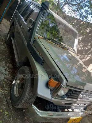 Toyota Land Cruiser 1999 Gray