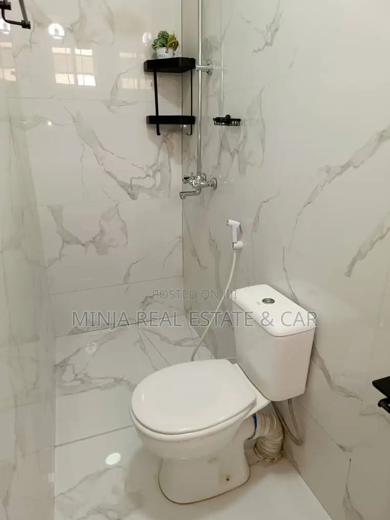 3bdrm House in Mikocheni for rent